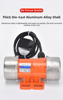 Putian AC Industrieller 60W/70W Einphasiger Linearer Mikrovibrationsmotor IP65 12-24V für Papierschneider