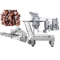 Ligne de production de poudre de dattes entières de haute qualité, machine de transformation de poudre de dattes instantanées