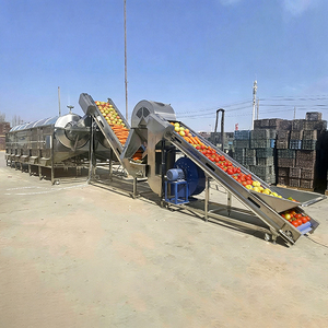 Máquina Electrónica Clasificadora <span class=keywords><strong>de</strong></span> Frutas y Verduras para Manzanas, Tomates y <span class=keywords><strong>Naranjas</strong></span> con Motor como Componente Principal - Product Image 4