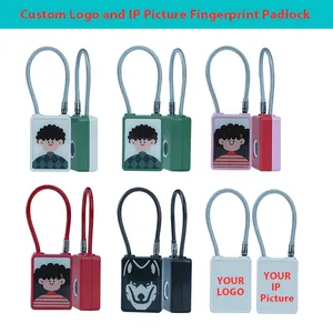 OEM / ODM Candado Latest Type-c Charging Suitcase Lock Gym School Locker Panlock Anti Thief Safety Smart Fingerprint Padlock