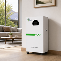 Batterie domestique LiFePO4 de 5,12 kWh, 51,2 V 100 Ah, solution de stockage d'énergie solaire pour l'alimentation de secours résidentielle