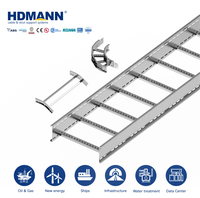 Échelle à câbles en acier au carbone électrogalvanisé léger Hdmann certifiée CSA 300 mm pour système de support MEP de bâtiments commerciaux
