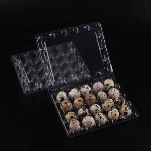 [Non vendita di uova] vassoio di plastica <span class=keywords><strong>20</strong></span> uova di quaglia per uova normali di Cordoniz - Product Image 6