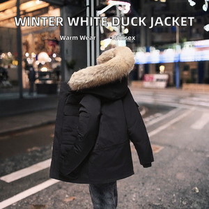 Nuevo Estilo, Diseño Personalizado OEM de Fábrica, Chaqueta Informal con Capucha para Parejas, Estilo Simple y Moderno, Otoño, Liso, Teñido, Acolchado, Poliéster - Product Image 2