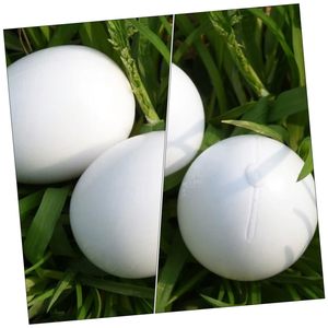 Uova artificiali di piccione con simulazione termica riempite d'acqua: plastica resistente di dimensioni realistiche per la gestione dell'allevamento e il controllo della schiusa - Product Image 4