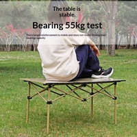 Table pliante d'extérieur, table de pique-nique portable, équipement de camping, ensemble table et chaises léger, barbecue, mobilier d'extérieur pour barbecue et repas en plein air
