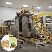 Pasteurisateur professionnel LWT entièrement automatique multifonctionnel de haute qualité pour ligne de production de champignons en conserve, échangeur de chaleur pour chocolat et bonbons