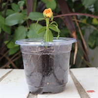 Pot de semis en PET épaissi de 3,5/4/5/6 pouces pour pépinière, culture de plantes aromatiques et de fleurs, germination des graines, avec couvercle