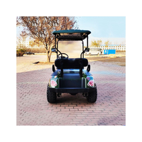 Voiturette de golf électrique professionnelle à batterie lithium, personnalisée et best-seller, 2 places, vitesse 30-50 km/h, autonomie 70-90 km