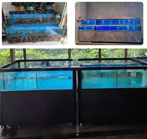 Vasca per Frutti di Mare in Acciaio Inox da Tavolo Ruibit: Acquario Multizona con Refrigeratore per Molluschi e <span class=keywords><strong>Pesci</strong></span> Vivi in Hotel e Ristoranti - Product Image 6