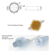 Éclairage extérieur permanent personnalisé en gros, étanche IP67, à LED, en PVC, DMX512 RGBW