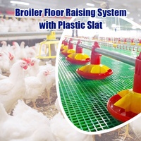 Équipement d'élevage avicole automatique pour poulets de chair en plein air en gros