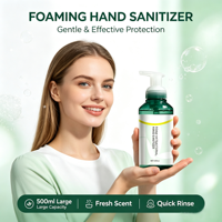 Nettoyant Moussant Personnalisé Sans Alcool pour les Mains, Doux pour la Peau, Parfum Floral de Bambou, pour Usage Domestique - Fournisseur