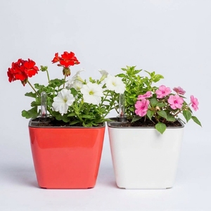 <b>Plastic</b> Vietnam Colorful Smart Self-Watering <b>Planters</b> Double Layer Flower Pots with Water Gauge for Home Gardening - Product Image 3