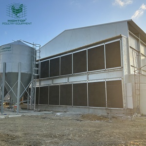 Gallinero Prefabricado Resistente al Viento <span class=keywords><strong>de</strong></span> Instalación Rápida, Estructura <span class=keywords><strong>de</strong></span> Acero para Granja Avícola en <span class=keywords><strong>Venta</strong></span> - Product Image 6