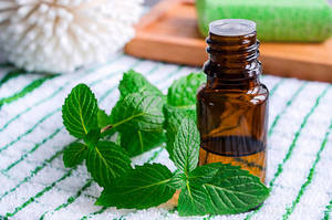 Aceite Esencial de Menta Verde para el Crecimiento del Cabello, Cuidado de la Piel y Masajes Corporales para Terapia de Spa, Relajación, Fortalecimiento del Cabello y Cuidado Diario - Product Image 6