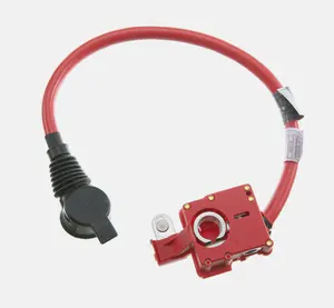 61129217036 61129217035 61139203570 Positive Battery Cable Terminal Wire For BMW