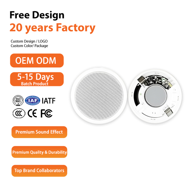 Customizable Speaker Components DIY Audio Equipment Professional Audio Two-way Audio Crossover 50-100W Power Speaker Unit