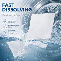 Échantillon Gratuit JIETI 30 Feuilles 60 Lavages Feuilles de Lessive OEM ODM Écologiques Vente en Gros Pack Direct Usine UE
