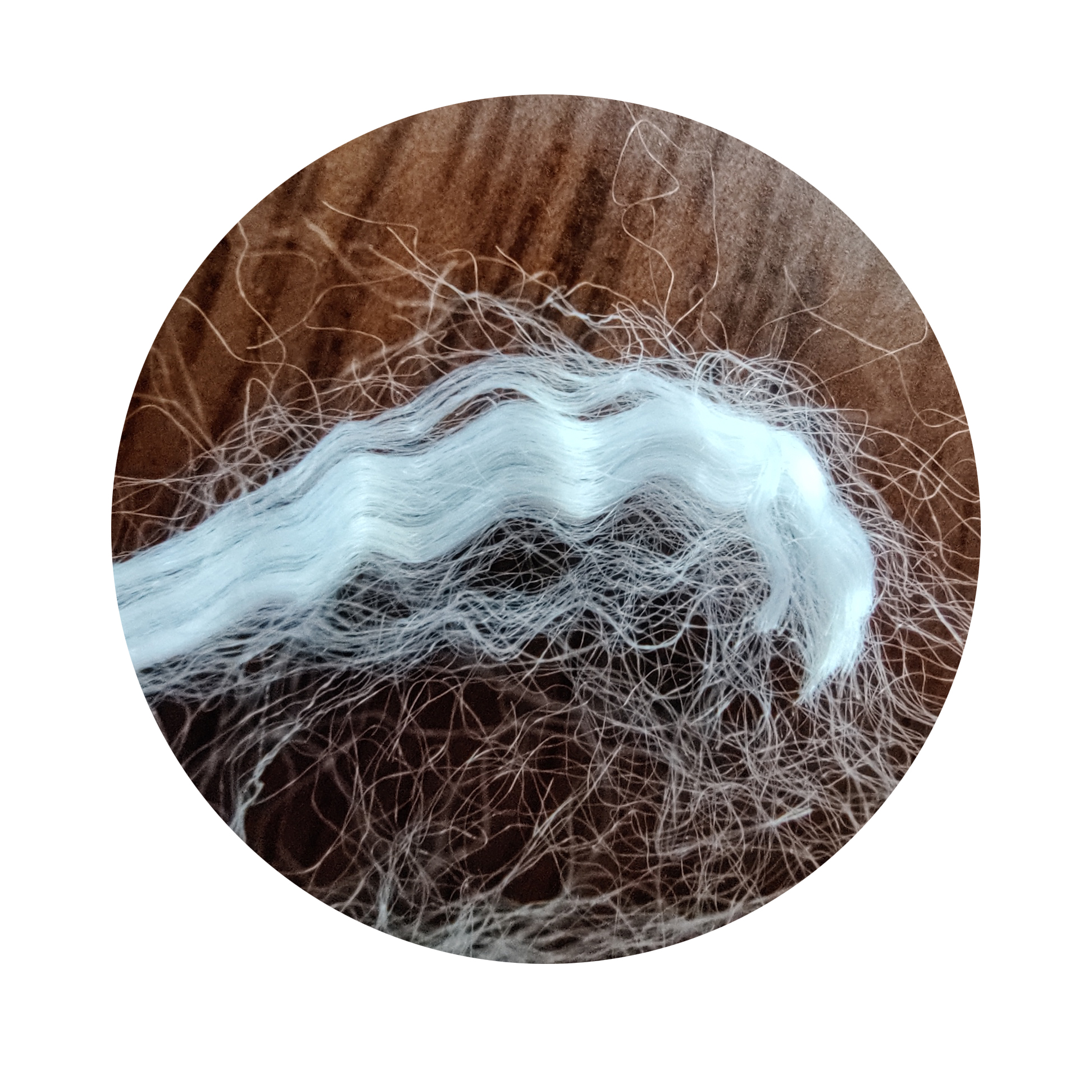 recycled polyester fiber