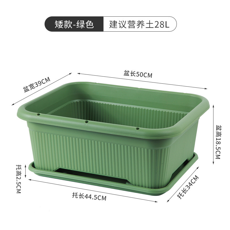 [Version courte] Plateau vert foncé