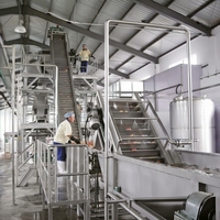 Ligne de production de jus de cerise, machine automatique de lavage, de pulpage, de stérilisation UHT et de remplissage des fruits, usine complète