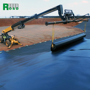 <span class=keywords><strong>0.5mm</strong></span> HDPE <span class=keywords><strong>LDPE</strong></span> lót tấm dam lót <span class=keywords><strong>geomembrane</strong></span> cho Nuôi Cá Ao Lót - Product Image 1