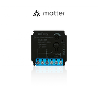 Bilihondim Matter Smart Wall-Mounted 1-Channel 200W Dimmer 30m Wireless Range Google Assistant Control Plastic Ultra-Compact