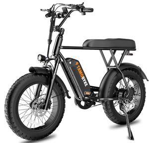 20 Inch Fat Tire <b>Electric</b> Mountain Bike 500W Rear <b>Hub</b> Motor 48V Lithium Battery Aluminum Alloy Frame City Commuter - Product Image 2