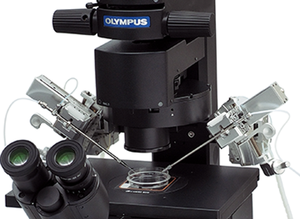 IVFソリューションICSIシステム用のオリンパスIX73倒立顕微鏡、IVF研究所用の倒立研究用顕微鏡 - Product Image 2