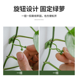 Soporte para plantas de pothos sin marcas para uso doméstico, sin clavos, para colgar en la pared, estéticamente agradable, con almacenamiento, ganchos autoadhesivos para - Product Image 3