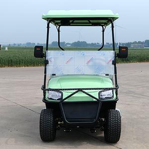 Qingdao arc-en-ciel nouvelle énergie 48V voiture de golf hors route 4 <span class=keywords><strong>places</strong></span> mini voiture <span class=keywords><strong>électrique</strong></span> pour <span class=keywords><strong>adulte</strong></span> - Product Image 2