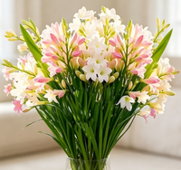 Bulbos de Tuberosa de Doble Flor y Múltiples Cabezas, Polianthes Tuberosa Blanca Fragante para Jardinería y Paisajismo, Venta al por Mayor