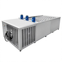 Machine à glaçons de 5 kg avec logo personnalisé, machine à glaçons à eau salée pour entreprises