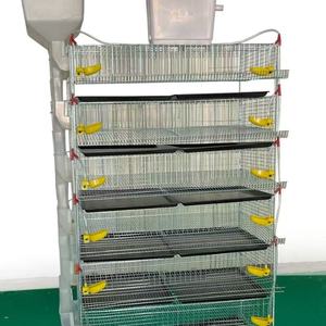 Cages à Cailles de Type H pour Volaille à Longue Durée de Vie en Vente - Product Image 2