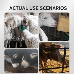 Bloc de sel minéral de l'Himalaya pour animaux d'élevage en pâturage, à lécher, longue durée, chlorure de sodium, qualité alimentaire, 5-6,5 kg - Product Image 3