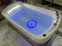 Baignoire autoportante chauffée pour adultes avec cascade LED, température constante, coussin de massage à bulles, spa