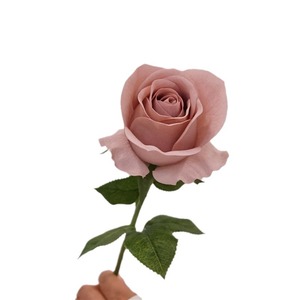 Fleur artificielle en soie, toucher doux, rose hydratante, décoration <span class=keywords><strong>de</strong></span> salon, table à manger, arrangement floral, <span class=keywords><strong>bouquet</strong></span> <span class=keywords><strong>de</strong></span> <span class=keywords><strong>fleurs</strong></span> <span class=keywords><strong>séchées</strong></span> - Product Image 5