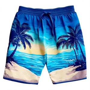 Competitive Price Men's Quick Dry Beach <b>Shorts</b> Drawstring Water Resistant Fast Drying Sports Custom Branding Available. - Product Image 5