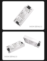 Convertidor LED de Emergencia de 2W con Bloques de Terminales, Certificado CE, Autoprueba, Suministro de Energía de 3 Horas, Batería de Respaldo LiFePO4