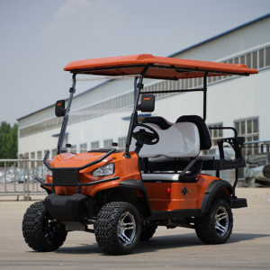 Chất lượng hàng đầu Mini Golf Cart xe đẩy với 2 4 6 chỗ ngồi Golf Cart - Product Image 2