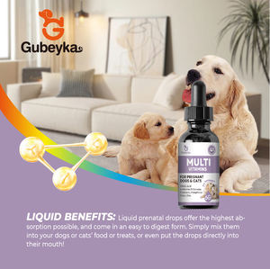 कुत्ते के प्रसवपूर्व विटामिन बी कॉम्प्लेक्स और विटामिन सी फोलिक एसिड कुत्ते के लिए आवश्यक प्रसव पूर्व विटामिन शामिल हैं - Product Image 6