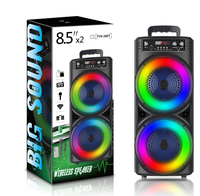 Sistema de Sonido PA Portátil Recargable Inalámbrico con Luces LED para Fiestas, Altavoz de 8 Pulgadas con Woofer, Altavoz Karaoke