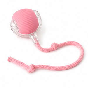 Smart <b>Pet</b> <b>Toy</b> 360° Automatic <b>Interactive</b> Dog Smart Ball <b>Toy</b> With Rope <b>Interactive</b> Cat <b>Toys</b> USB Charger Rolling Ball <b>for</b> Cats - Product Image 1