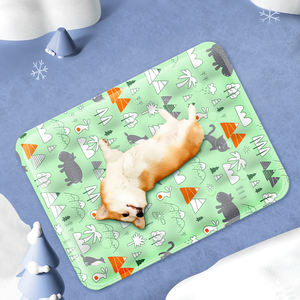 Benutzer definierte Größe OEM Wasch bare Sommer Haustier Kühl matte Katze Hund Kühl matte - Product Image 1