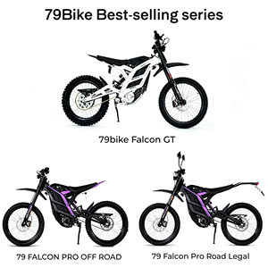 Prix d'usine 79 Moto tout-terrain 72V Pit Bike Dirt Bike à démarrage à l'état froid Vitesse maximale Vente en gros - Product Image 2