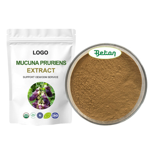 ผู้ผลิตจัดหาผงสกัดจากถั่วกํามะหยี่ <span class=keywords><strong>Mucuna</strong></span> <span class=keywords><strong>Pruriens</strong></span> ผงสกัดจากถั่วกํามะหยี่จํานวนมาก - Product Image 2