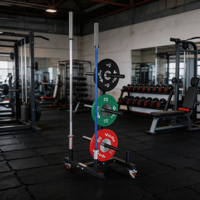 VIGFIT Support vertical professionnel haute capacité pour plaques de musculation, organisateur mobile de barres d'haltères, sûr, durable et écologique