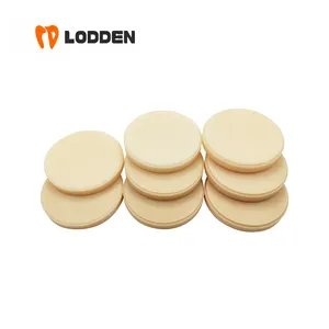 LODDEN dental lab consumables cadcam milling 98mm 95mm AG Monolayer pmma block blank discs