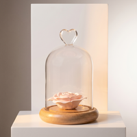 Diffuseur d'huiles essentielles parfumées en verre avec base en bois, inhalateur de fleurs, testeur, pour expositions, avec pompe à marquage à chaud